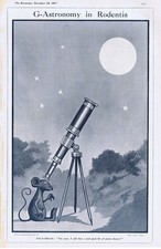 ASTRONOMY Field Mouse With