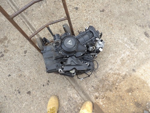 Triumph tiger 800 - 800, engine