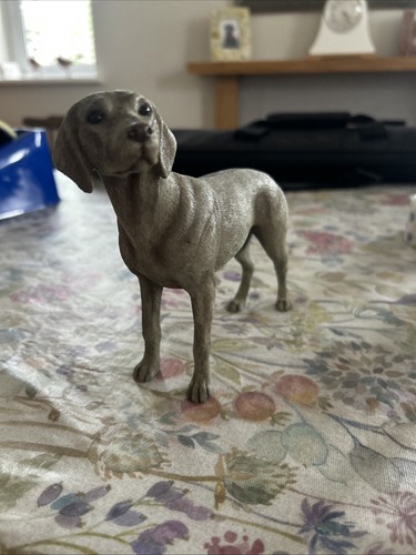 Leonardo collection weimaraner - leonardo,
