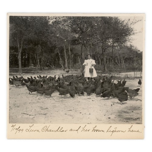 Photograph farm girl - photograph,