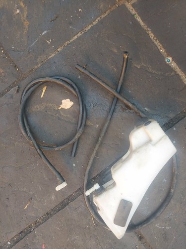 Triumph t595 955 - triumph,