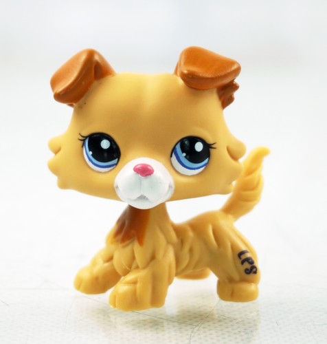 Collie dog lps 2452 gift - dog,