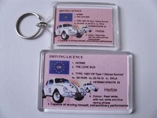 HERBIE VW CAR LOVE BUG Keyring