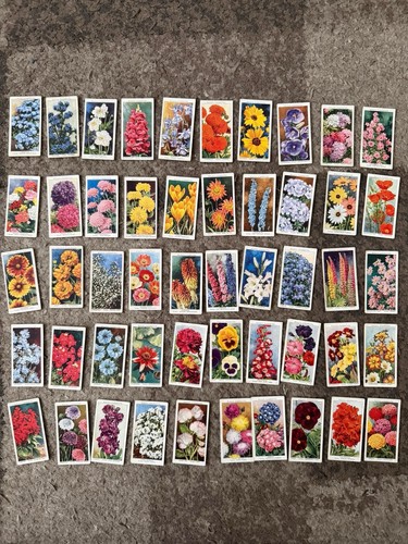 Will garden flowers - garden,