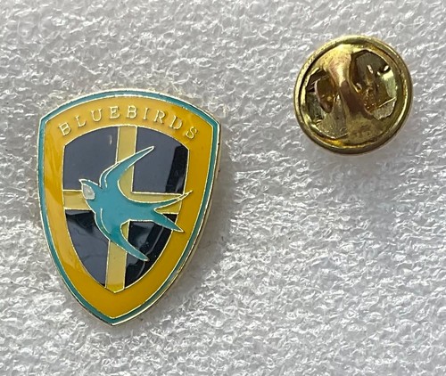 Cardiff city football club - city,