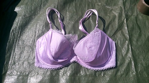 Ann summers lilac - summers, blossom
