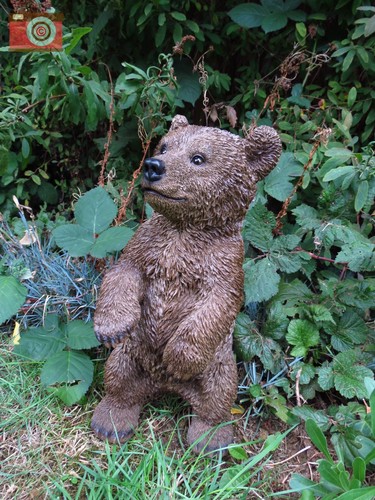 Standing bear cub vivid arts - vivid,