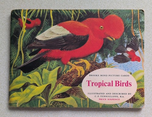 Brooke bond tea - brooke,