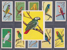 Como  1959  Noddy's Budgie & Feathered Friends  (1st Series 1-25 )  Pick a Card!