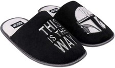 Star Wars The Mandalorian