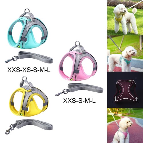 Dog harness with - with, leash