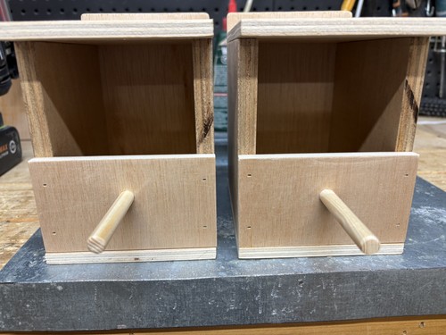 Finch nesting breeding box - breeding,