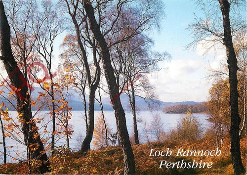 Picture postcard loch rannoch - loch,