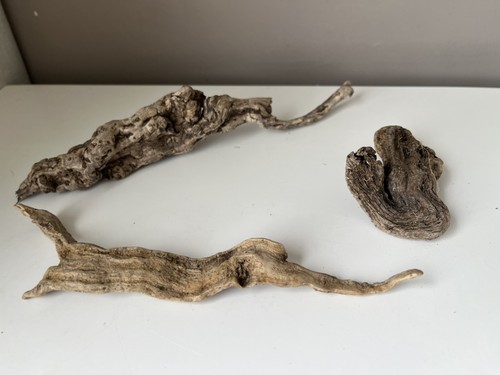 Gnarled driftwood rootwood - 3,