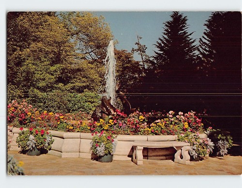 Postcard dolphin fountain - postcard,