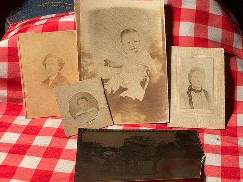 Photo photograph horse buggy - &,