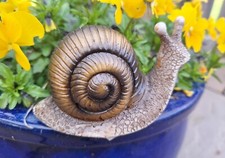 Garden Gift Snail Outdoor