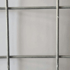 Aviary/Garden/Pet European