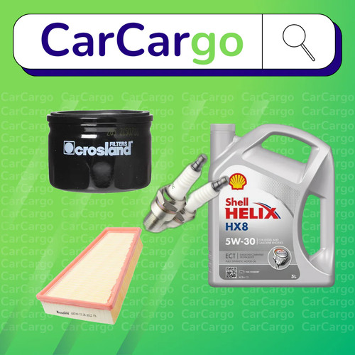 Service kit renault - service,