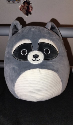 Squishmallow rocky raccoon - squishmallow,