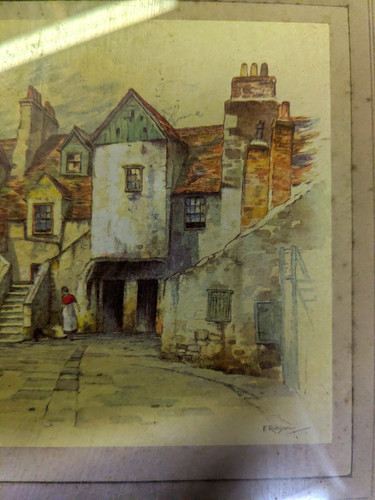 Robson the white horse - x,