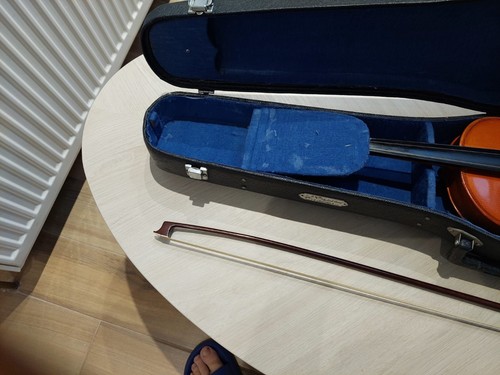 Violin