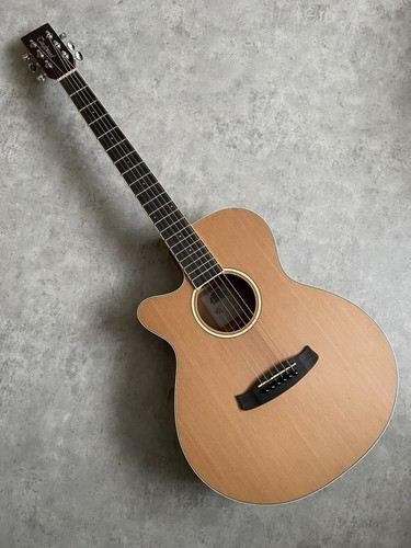 Folk electro acoustic guitar - electro,