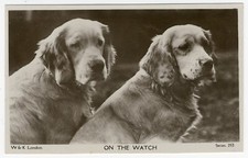 CLUMBER SPANIEL DOGS VINTAGE