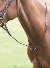 Shires Velociti Gara Leather