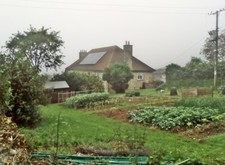 Photo 6x4 Vegetable plot at