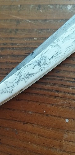 Antique scrimshaw cut - scrimshaw, throat