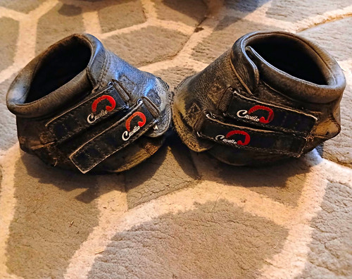 Cavallo hoof boots size - cavallo,