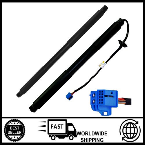 Rear tailgate power lift - 2x,