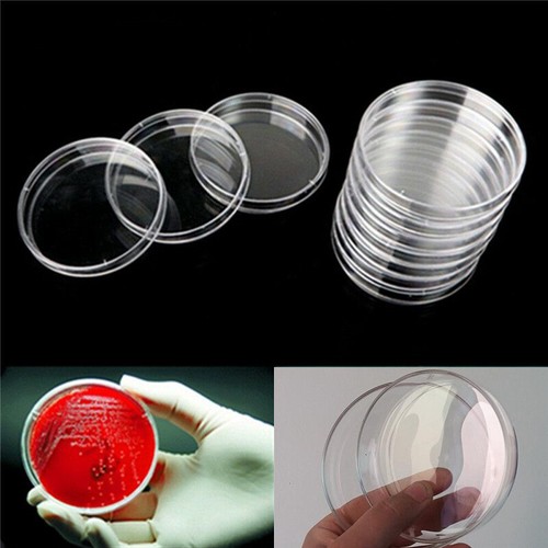 1pcs 90mm petri dish - 1pcs,