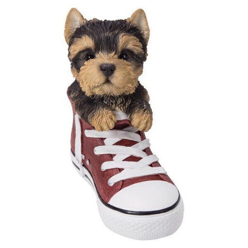 Pacific giftware all star - pt,