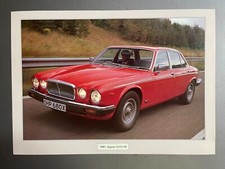 1981 Jaguar XJ12 HE Coupe