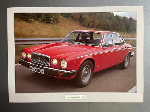 1981 jaguar xj12 coupe - jaguar,
