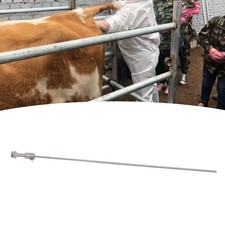 Veterinary Equipment For