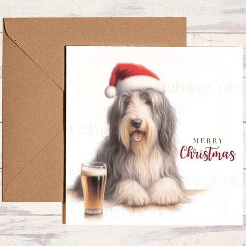 Bearded collie pint - bearded,