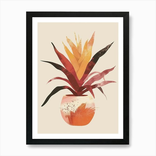 Bromeliad plant minimalist - bromeliad,