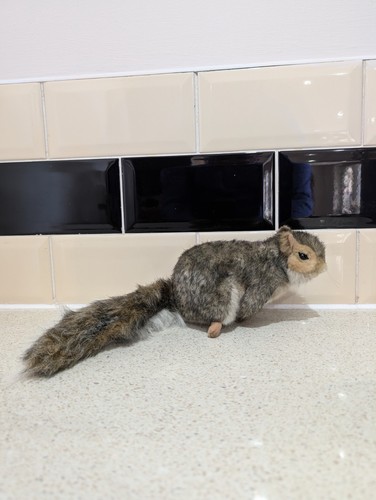 Hansa 4840 squirrel gray - hansa,
