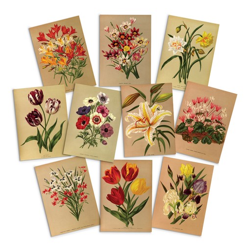 Antique botanical greeting - botanical,