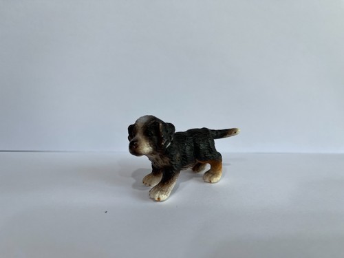 Schelich bernese mountain dog - bernese,