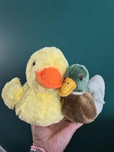 Yellow plush duck soft - duck, toy