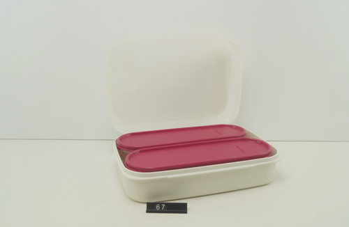 Tupperware break buffet lunch - tupperware,