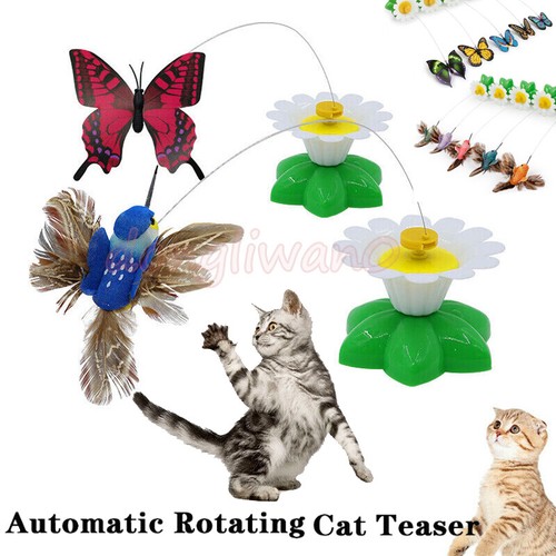 Fun pet electric rotating - fun,
