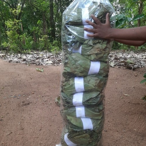 1200 dried soursop - 1200, leaves-
