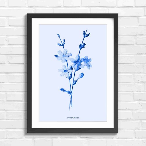 Vintage winter jasmine - vintage,