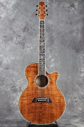 Takamine dmp100k hawaiian koa - dmp100k,