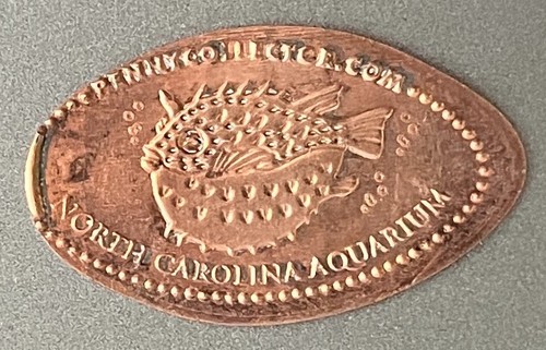 Elongated penny north - penny,